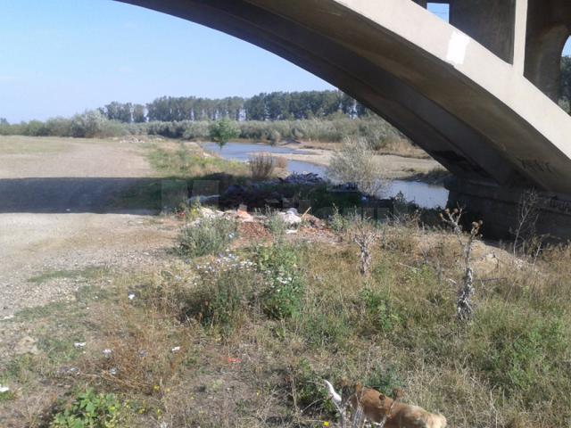 Malul râului Suceava, transformat într-o adevărată groapă de gunoi de o parte din locuitorii oraşului Liteni
