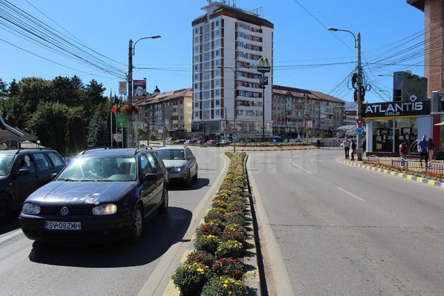 4.000 de ghivece cu crizanteme vor înfrumuseţa străzile Sucevei