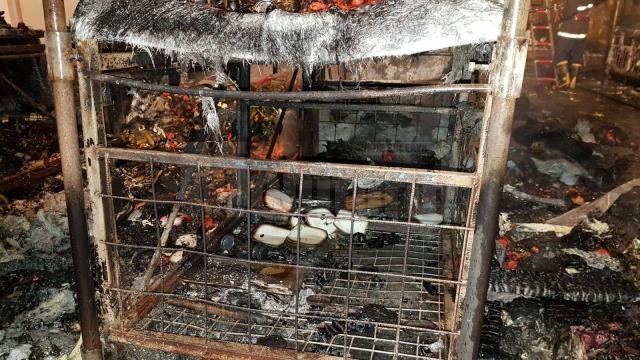 Incendiul s-a extins şi a făcut pagube importante