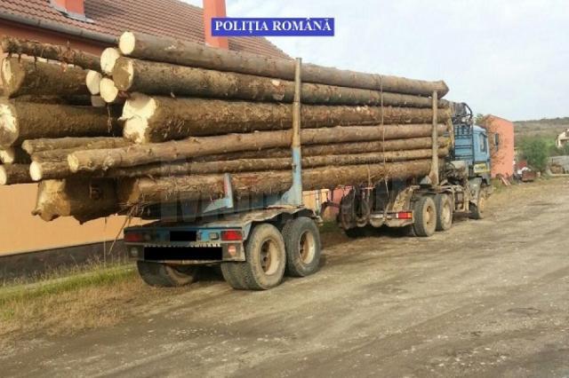 Materialul lemnos transportat fără acte în regulă a fost confiscat