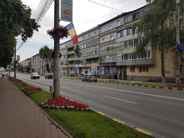 Perdea de platani pe lateralele bulevardului principal al municipiului Suceava