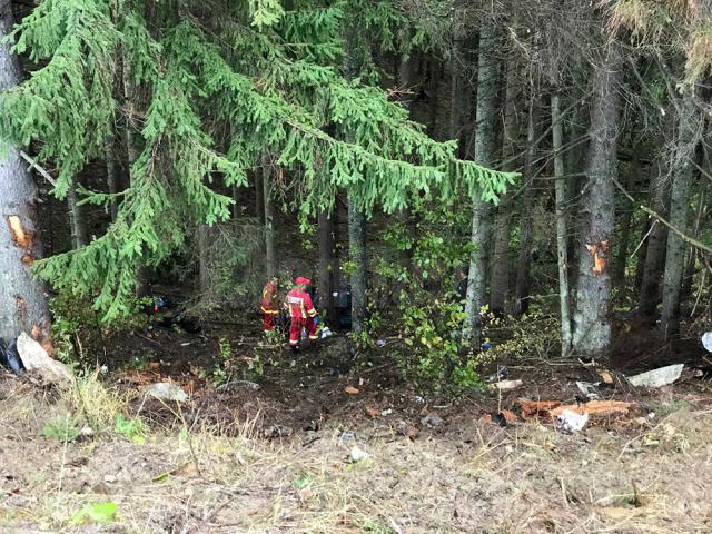 Pompierii au găsit maşina în pădure