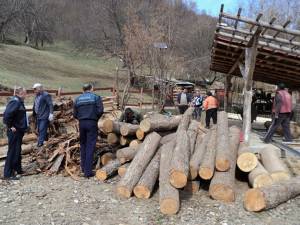 În cadrul acţiunii au fost confiscaţi 27,56 metri cubi lemn, în valoare de 8.574 lei