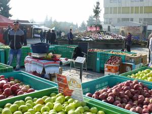 Producătorii au expus peste 30 de soiuri de mere, din care 14 au fost oferite spre vânzare