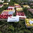 Târgul Mărului a promovat produsele pomicole şi agricole din zona Fălticeni