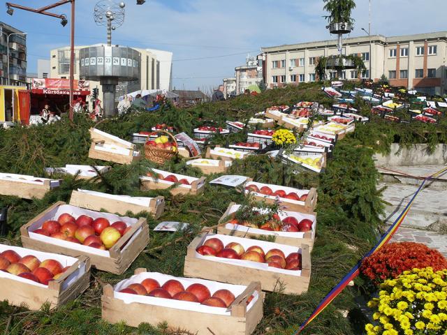 Târgul Mărului a promovat produsele pomicole şi agricole din zona Fălticeni