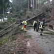 Intervenţia pe TransRarău a fost periculoasă, din cauza arborilor doborâţi de vânt