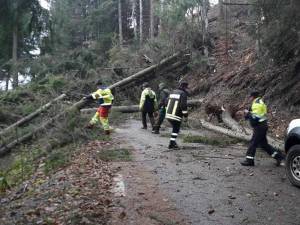 Intervenţia pe TransRarău a fost periculoasă, din cauza arborilor doborâţi de vânt