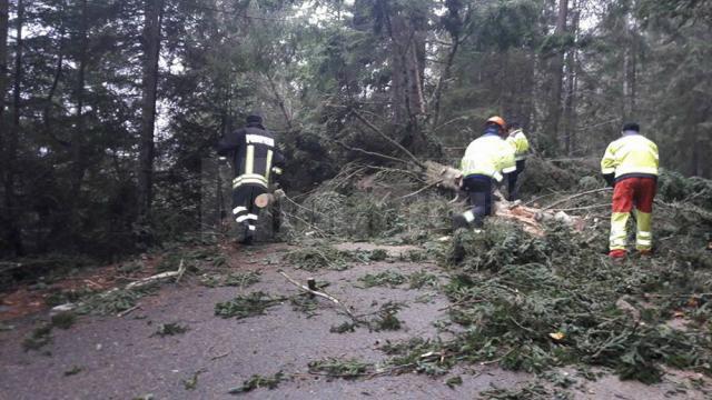 Vijelia de ieri a afectat circulaţia rutieră în zona de munte şi a lăsat localităţi fără curent electric