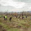 21.200 de puieți de arbori au fost plantați pe o suprafață de 4,7 ha teren degradat, în prima acțiune din „Pădurea de mâine”