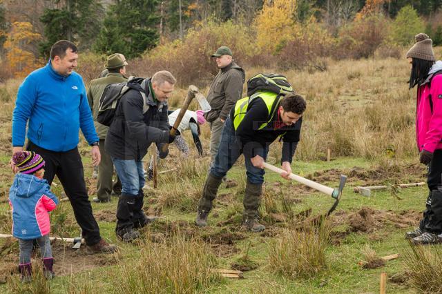 Startul proiectului „Pădurea de mâine”, dat prin plantarea a 21.000 de puieţi de arbori