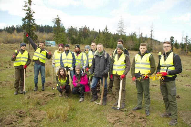 Startul proiectului „Pădurea de mâine”, dat prin plantarea a 21.000 de puieţi de arbori