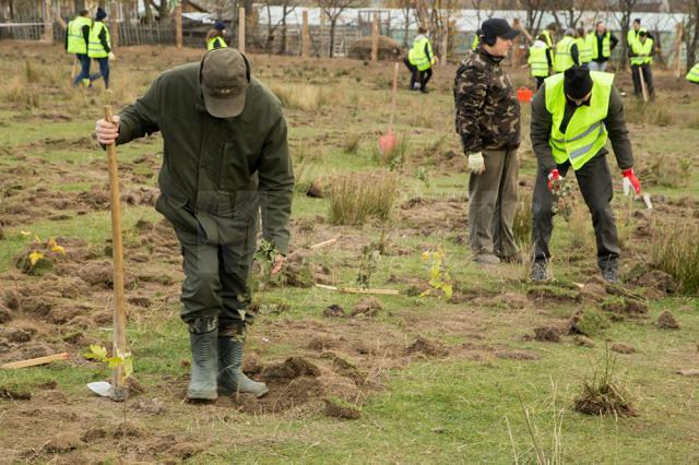 Startul proiectului „Pădurea de mâine”, dat prin plantarea a 21.000 de puieţi de arbori