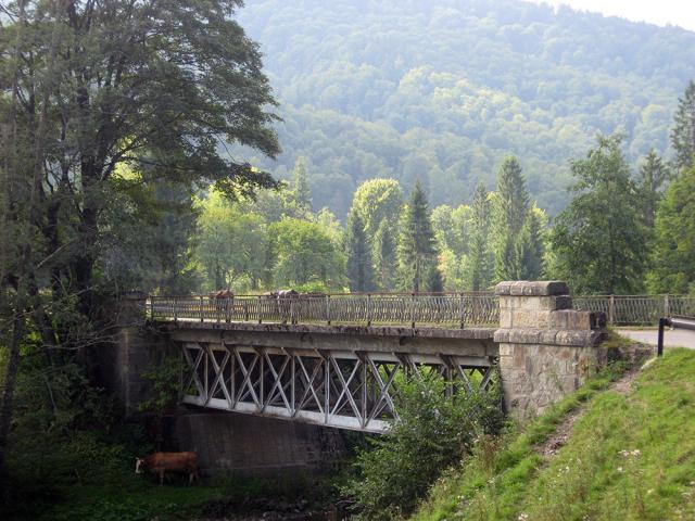 Unul din cele trei poduri metalice care rezista de mai bine de  o suta de ani 1