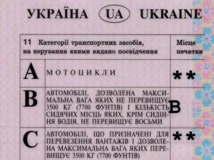A plătit 800 de euro pentru a circula cu un paşaport ucrainean falsificat