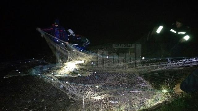 Plasele au fost distruse, iar peştii redaţi în mediul lor natural