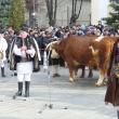 Mii de suceveni au urmărit parada obiceiurilor de iarnă de la Suceava