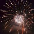 10.000 de suceveni au sărbătorit trecerea în 2018 admirând superbe focuri de artificii