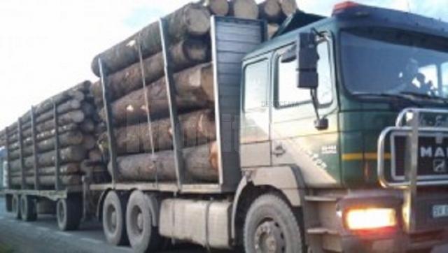 Material lemnos confiscat şi sancţiuni aplicate de poliţişti pentru încălcarea legislaţiei în domeniul silvic