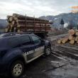 Sancţiuni de 60.000 de lei, aplicate de Garda Forestieră vineri dimineaţă