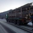 Sancţiuni de peste 20.000 de lei aplicate de Garda Forestieră, în urma controalelor la transportul materialelor lemnoase