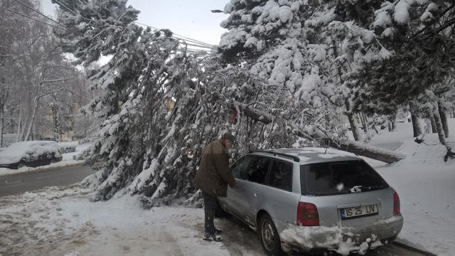 Un şofer norocos, ieri dimineaţă, în zona centrală a Sucevei