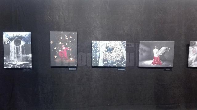 ”Poveşti de suflet”, 23 de lucrări de grafică digitală realizate de Diana Dimitriu, la Galeria de artă a USV