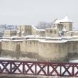 Cetatea Sucevei a împlinit 630 de ani de la prima atestare documentara