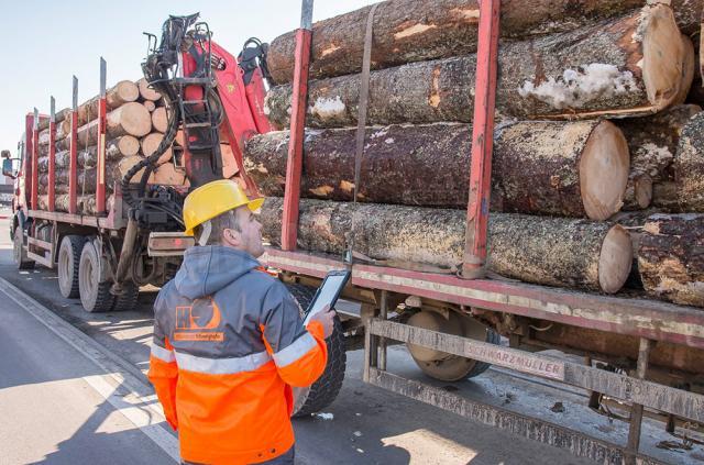 Sistemul de urmărire prin GPS a materialului lemnos, Timflow, permite Holzindustrie Schweighofer să monitorizeze traseul fiecărui camion ce livrează buştean de la punctul de încărcare până la poarta fabricii