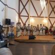 „Călineştenii Țării Maramureşului" şi interpreta Măriuca Verdeş, aplaudaţi îndelung de publicul din Dorna Arini