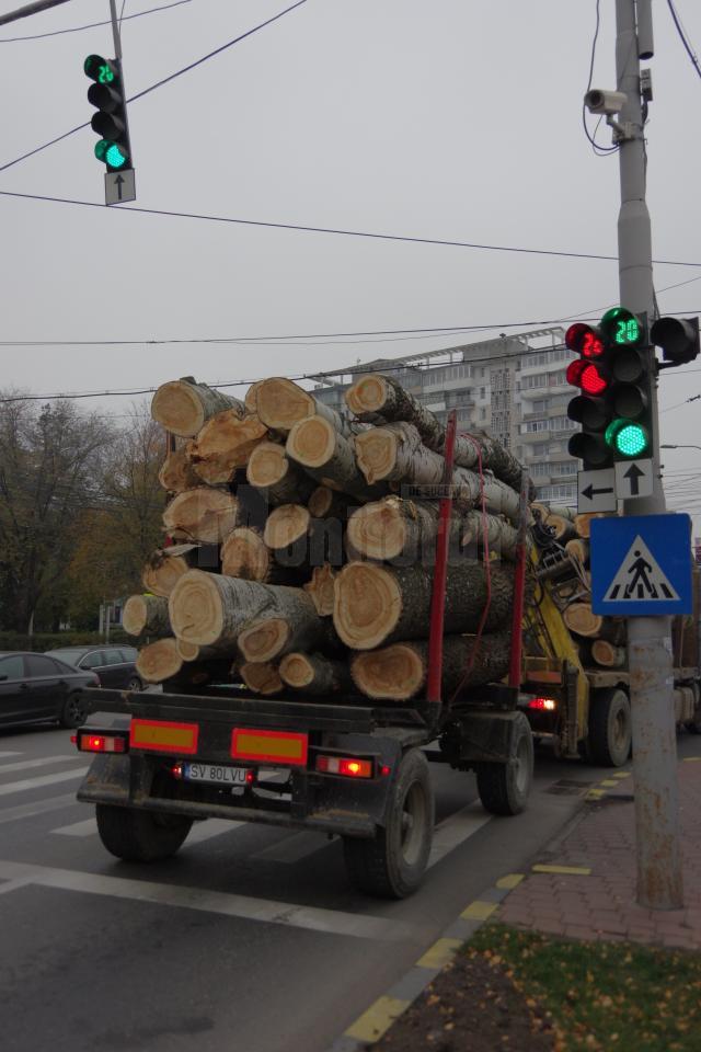 Transport de lemn de lucru rasinoase