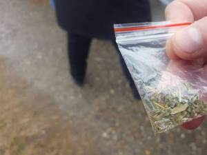 Asupra unuia dintre tineri au fost găsite fragmente vegetale suspecte, care păreau a fi droguri din categoria etnobotanicelor
