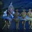 Artiştii din Sankt Petersburg, aplaudaţi de sute de suceveni la finalul spectacolului „Lacul lebedelor”