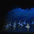 Artiştii din Sankt Petersburg, aplaudaţi de sute de suceveni la finalul spectacolului „Lacul lebedelor”