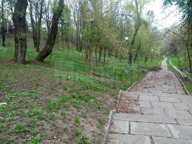 Parcul Şipote ar urma să treacă în administrarea Consiliului Local Suceava