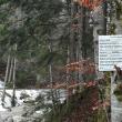 Alarmă falsă în cazul tăierilor de arbori de pe Rarău, semnalate Gărzii Forestiere