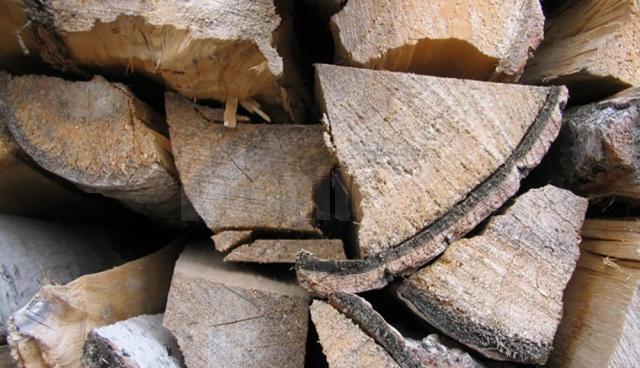Întreaga cantitate de 27,72 metri cubi de lemn de fag, în valoare de 3.825,36 lei, a fost confiscată