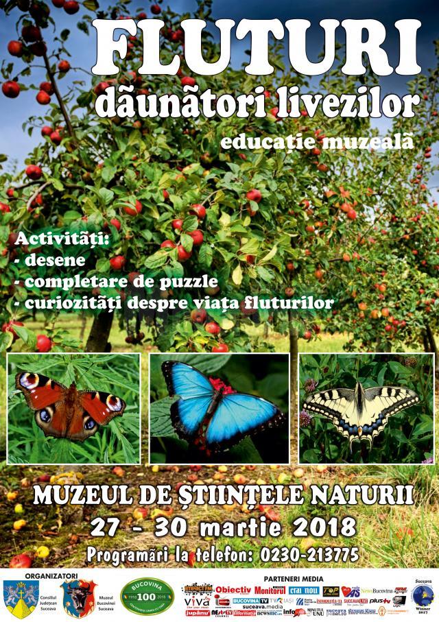 Lecţia "Fluturi dăunători livezilor", la Muzeul de Ştiinţele Naturii din Suceava