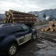 Amenzi de 150.000 de lei, aplicate de Garda Forestieră Suceava de la începutul lunii martie