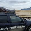 Amenzi de 150.000 de lei, aplicate de Garda Forestieră Suceava de la începutul lunii martie
