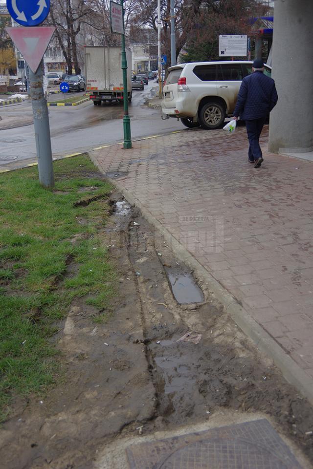 Spațiile verzi din centrul Sucevei, distruse de roțile mașinilor parcate ilegal