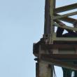 O tânără care a vrut să se arunce de pe o macara, de la 40 de metri înălţime, a fost convinsă să renunţe de negociatorul de la IPJ Suceava