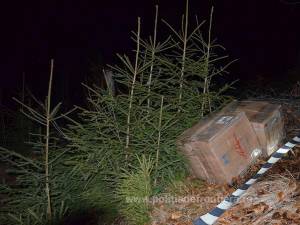Ţigări de contrabandă de peste 30.000 de euro, descoperite în zona Brodina-Izvoarele Sucevei
