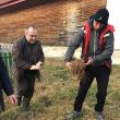 Acţiune de plantare de puieţi de salcâm în comuna Pătrăuţi