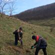 Acţiune de plantare de puieţi de salcâm în comuna Pătrăuţi