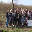 500 de puieți plantați în Cantonul silvic Mihoveni, de elevi ai Colegiului „Spiru Haret”