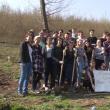 500 de puieţi plantaţi în cantonul Mihoveni, de elevi ai Colegiului „Spiru Haret”