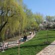 Prima zonă de agrement a Sucevei a fost inaugurată vineri
