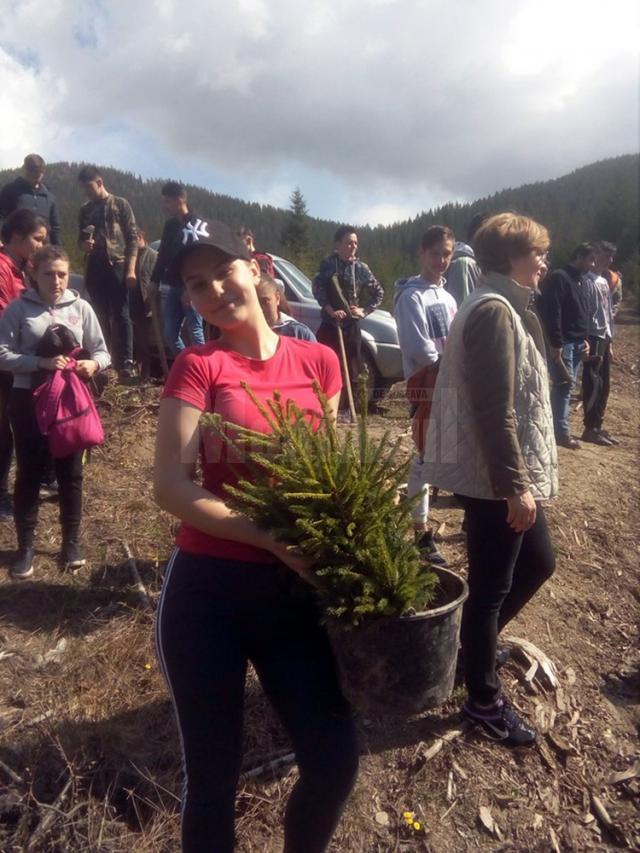 Elevi ai Colegiului de Industrie Alimentară au plantat 1.000 de puieți de brad, la Sadova