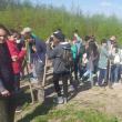 Ample acțiuni de împădurire organizate de Direcția Silvică Suceava, în „Luna plantării arborilor”